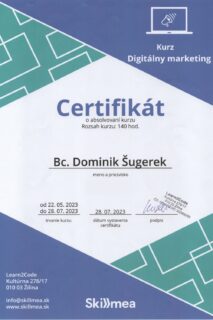 skillmea digitalny marketing 140h